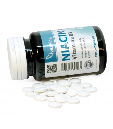 Vitamina B3 (niacina) 100mg - 100 comprimate