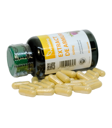 Extract de Armurariu (Silimarina) 500mg - 80 capsule
