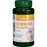 Gymnema Sylvestre 400mg - 90 capsule
