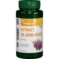Extract de Armurariu (Silimarina) 500mg - 80 capsule